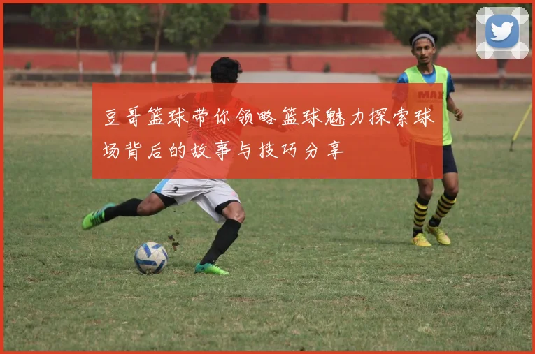 豆哥篮球带你领略篮球魅力探索球场背后的故事与技巧分享