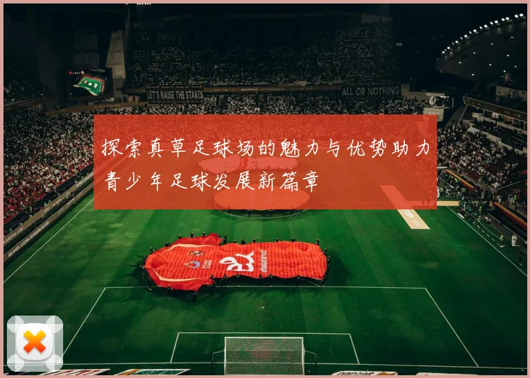 探索真草足球场的魅力与优势助力青少年足球发展新篇章