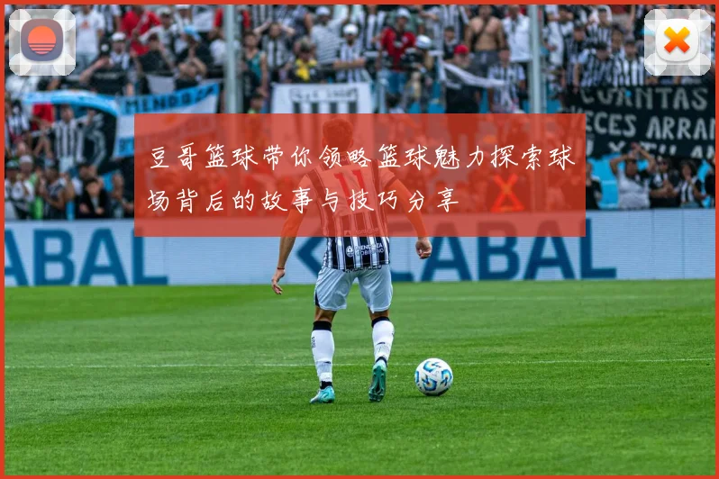 豆哥篮球带你领略篮球魅力探索球场背后的故事与技巧分享