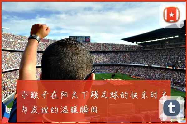 小猴子在阳光下踢足球的快乐时光与友谊的温暖瞬间