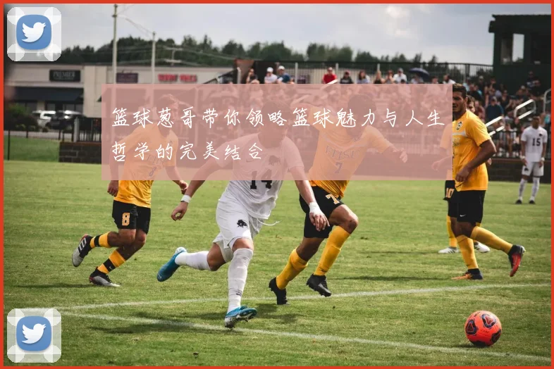 篮球葱哥带你领略篮球魅力与人生哲学的完美结合