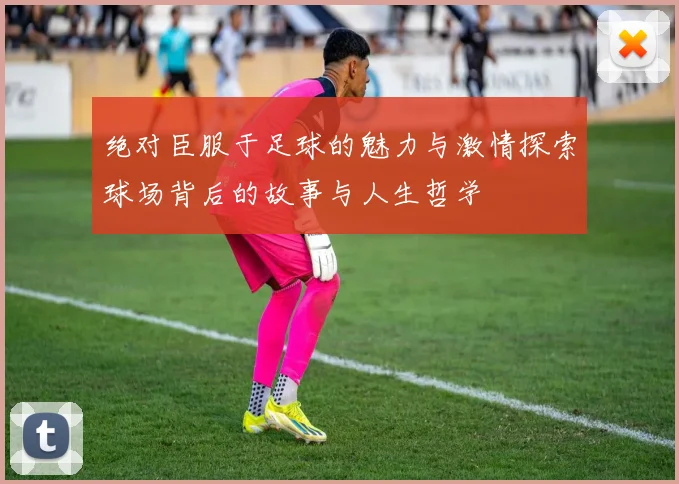 绝对臣服于足球的魅力与激情探索球场背后的故事与人生哲学