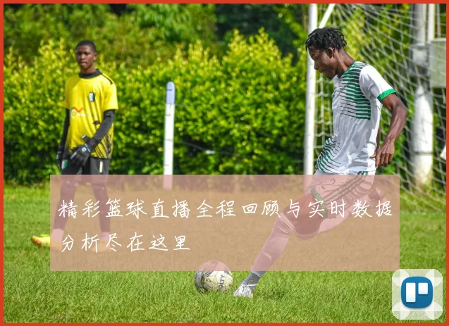 精彩篮球直播全程回顾与实时数据分析尽在这里