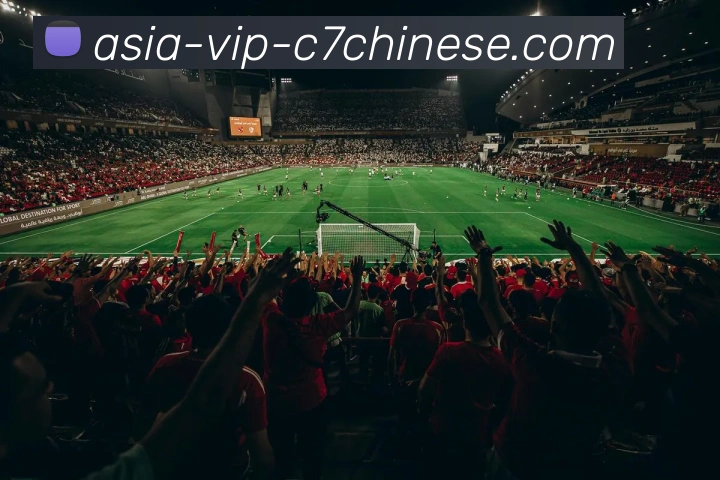 C7娱乐品牌故事